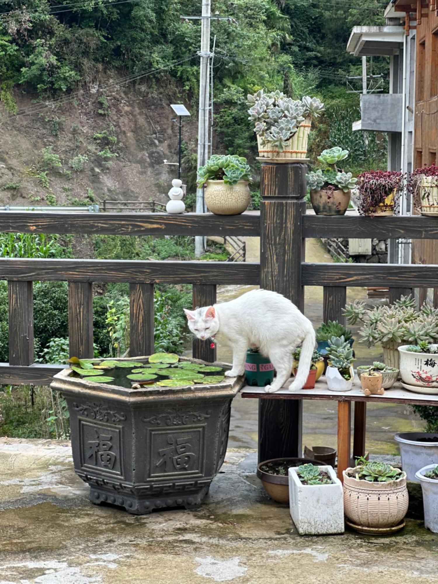 Tongfu Inn Zhangjiajie Dış mekan fotoğraf