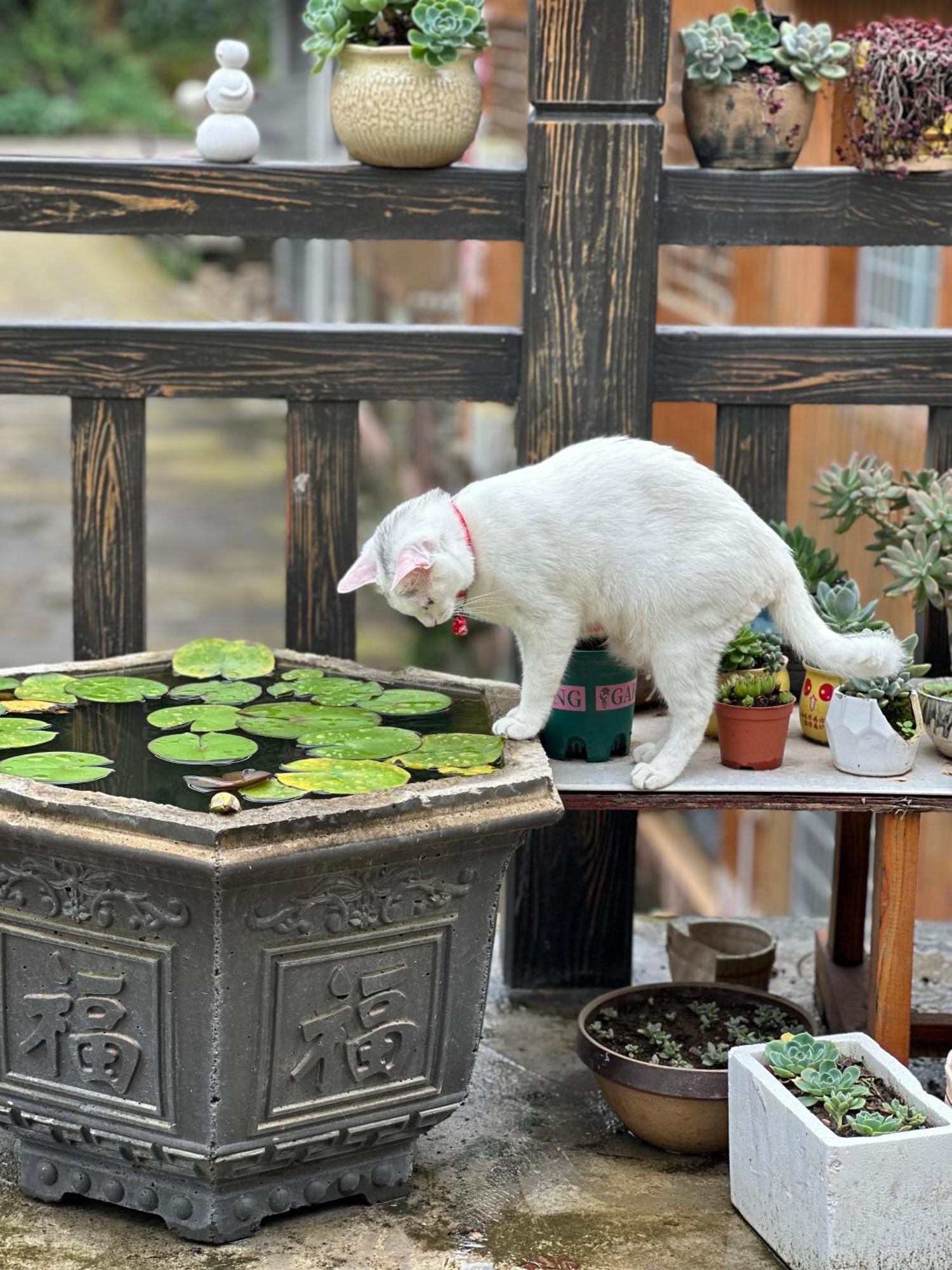Tongfu Inn Zhangjiajie Dış mekan fotoğraf