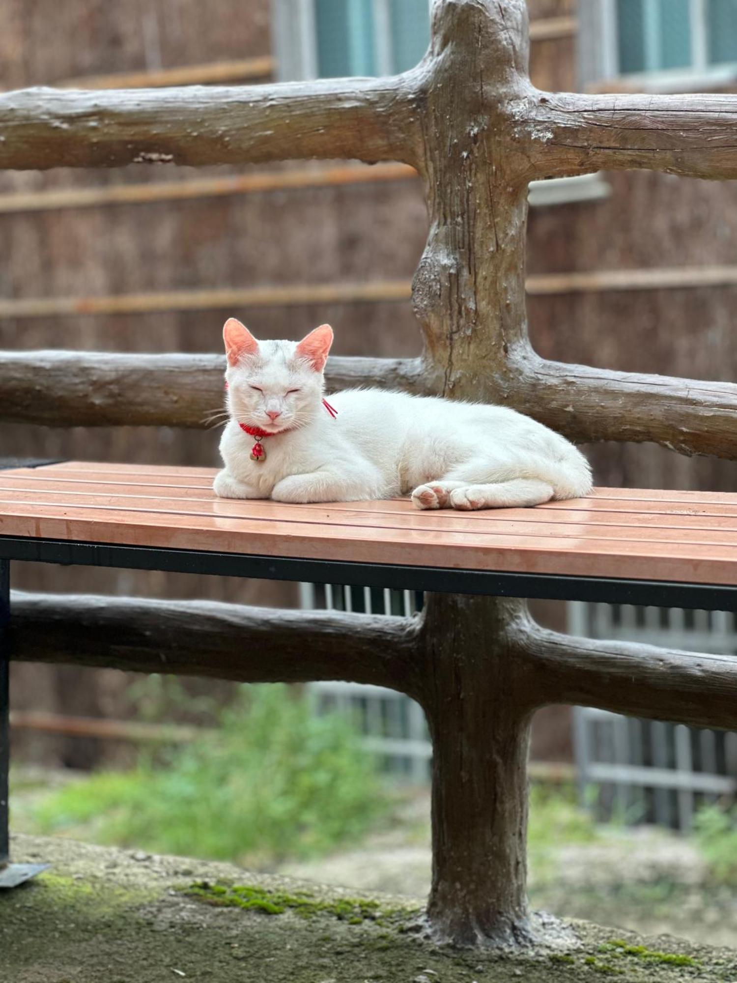 Tongfu Inn Zhangjiajie Dış mekan fotoğraf