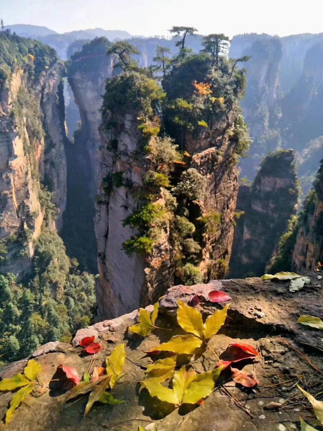 Tongfu Inn Zhangjiajie Dış mekan fotoğraf